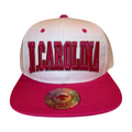 HP-DZ-NCAROLINA EMBROIDERY FLAT BILL SNAPBACK-$6 - WHIT/PINK NC - Burzip Wholesale