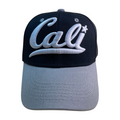 HV-DZ-CALI BEAR EMB-$4 - selected color - Burzip Wholesale