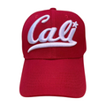 HV-DZ-CALI BEAR EMB-$4 - selected color - Burzip Wholesale