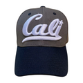 HV-DZ-CALI BEAR EMB-$4 - selected color - Burzip Wholesale