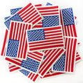 US FLAG PATCH-30PCS/PACK - WHITE FRAME - Burzip Wholesale