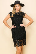 SD0140-1PC-BODYCON LACE MIDI DRESS-$22 (Display Sample) - Black / 2222=8pcs * $115 - Burzip Wholesale